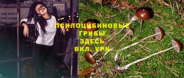 мескалин Губаха