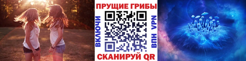 сайты даркнета официальный сайт  Моршанск  Псилоцибиновые грибы ЛСД  OMG ССЫЛКА 