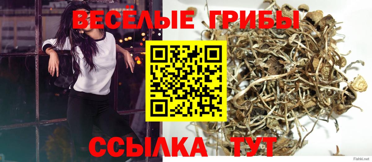 Псилоцибиновые грибы Magic Shrooms Моршанск