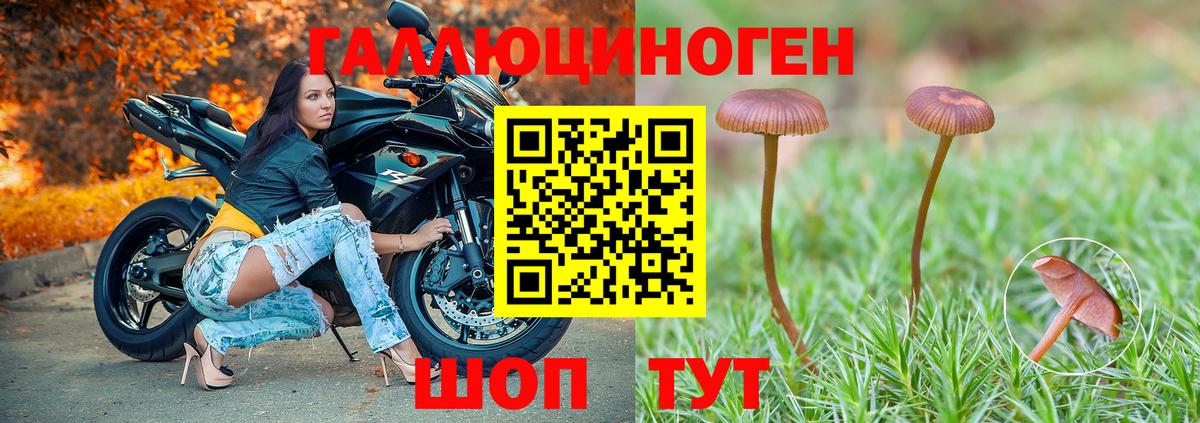 Галлюциногенные грибы прущие грибы  Вход с VPN  Моршанск 